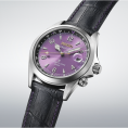 HBC006J1_ima_1_2026